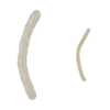 NOODLES - Image 2